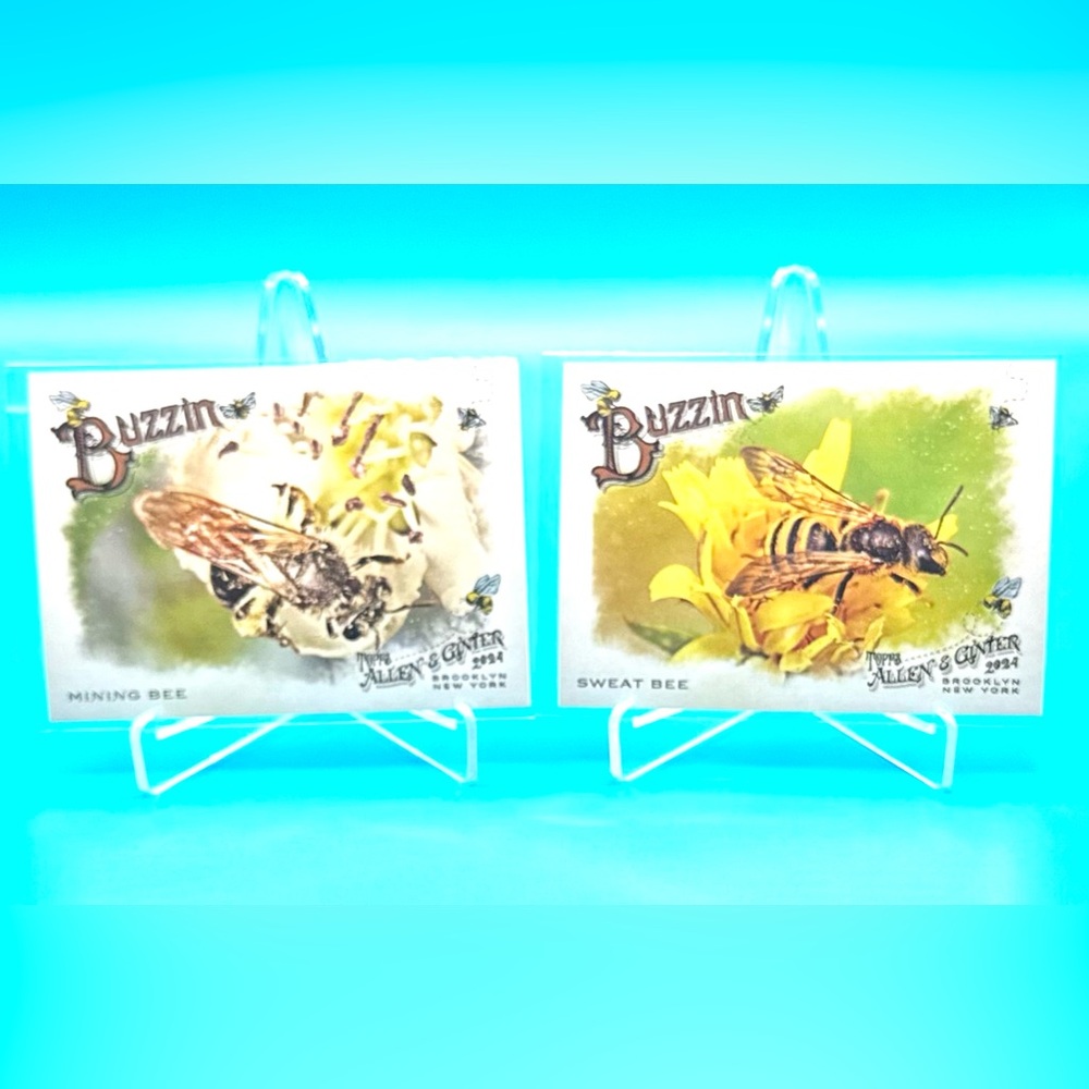 2024 Topps Allen & Ginter Buzzin Lot! 🐝 🍯